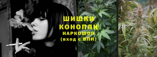 сатива Заводоуковск